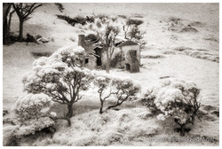 Abandoned House, Otago Peninsula